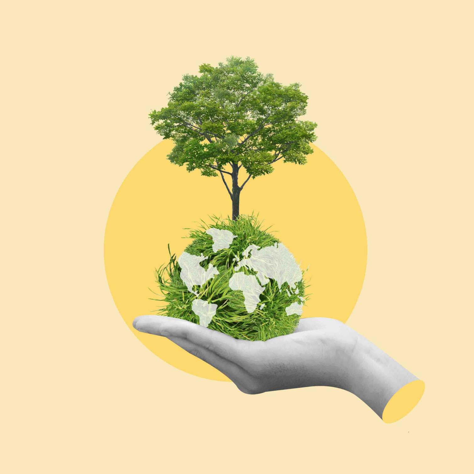 Economía sustentable